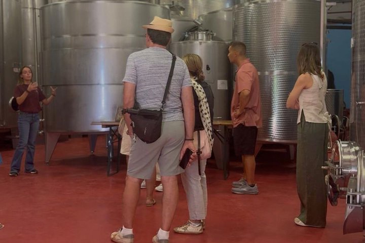 Siena: Chianti Sunset Tour with Dinner & Wine Tasting