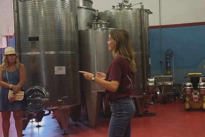 Siena: Chianti Sunset Tour with Dinner & Wine Tasting