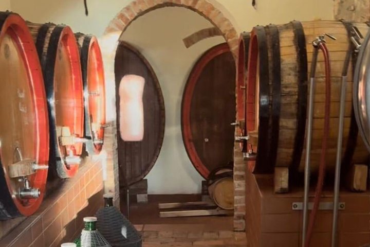 Siena: Chianti Sunset Tour with Dinner & Wine Tasting