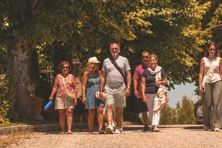 Siena: Chianti Sunset Tour with Dinner & Wine Tasting