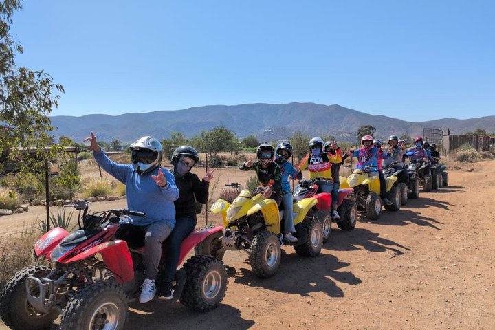 Shore Excursion Ensenada: ATV + Taco & Bufadora options