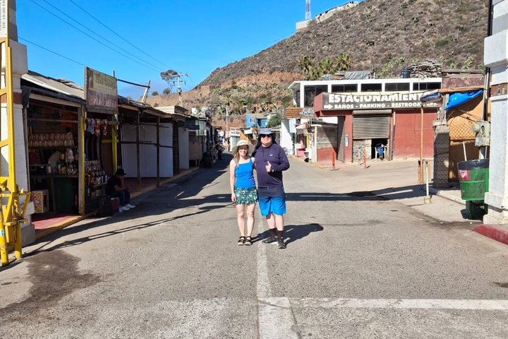 Shore Excursion Ensenada: ATV + Taco & Bufadora options