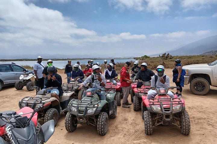 Shore Excursion Ensenada: ATV + Taco & Bufadora options
