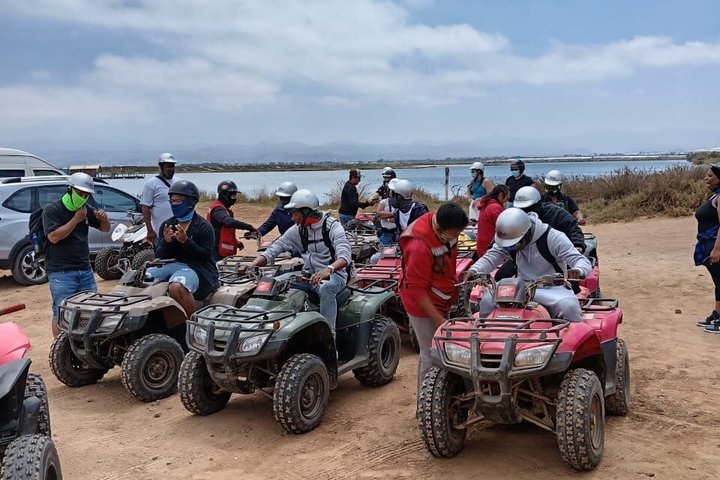 Shore Excursion Ensenada: ATV + Taco & Bufadora options
