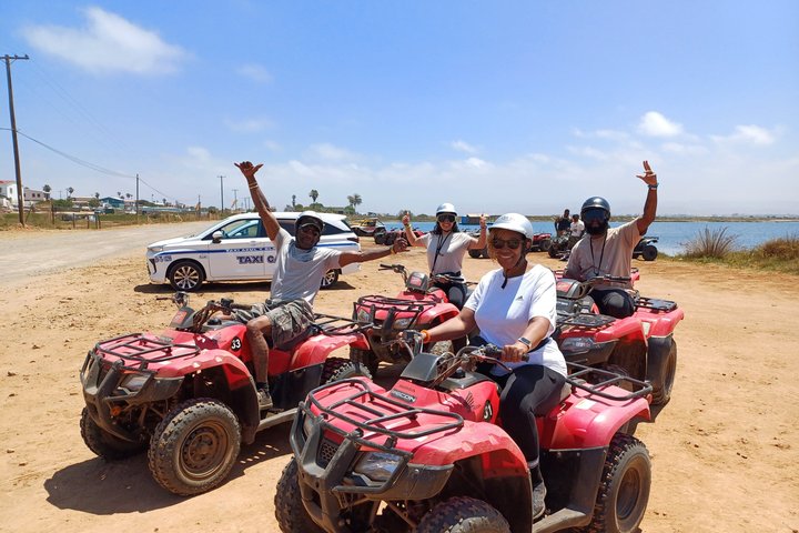 Shore Excursion Ensenada: ATV + Taco & Bufadora options