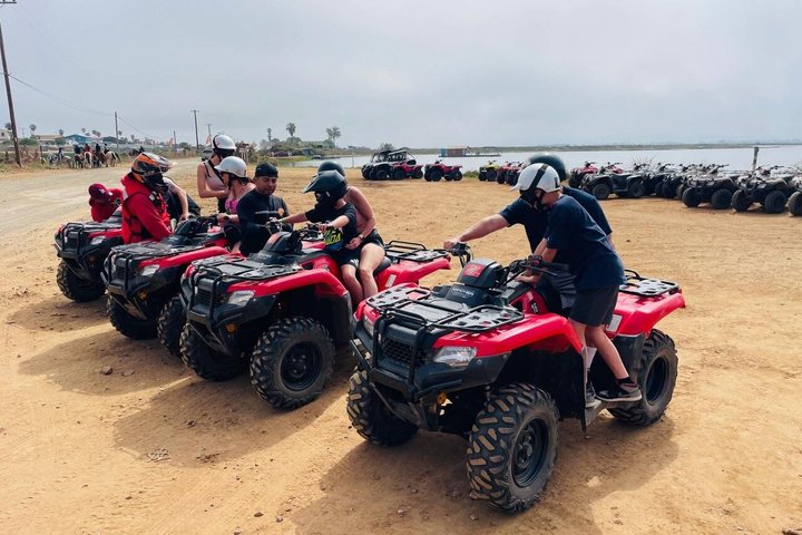 Shore Excursion Ensenada: ATV + Taco & Bufadora options