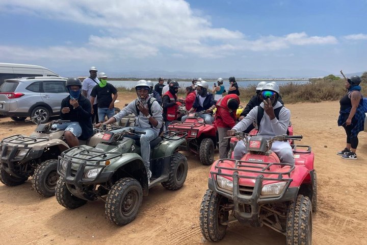 Shore Excursion Ensenada: ATV + Taco & Bufadora options