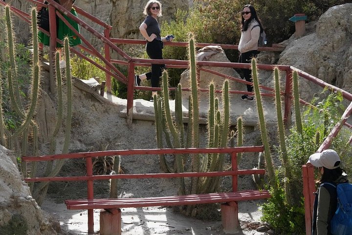 Private. Discovering La Paz, Moon Valley, Cable Cars