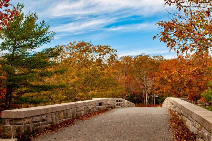 “Classic Acadia” Private Tour: Cadillac Mountain & Thunder Hole