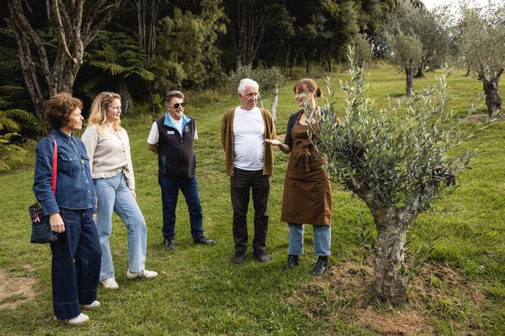 Waiheke Island Gourmet Food and Wine Tour