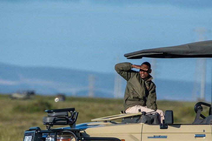 Mossel Bay Wildlife Safari Experience