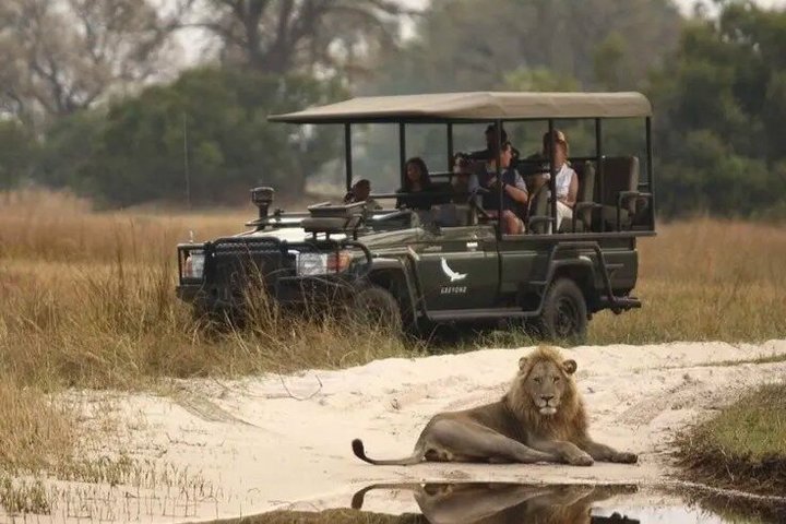 Mossel Bay Wildlife Safari Experience