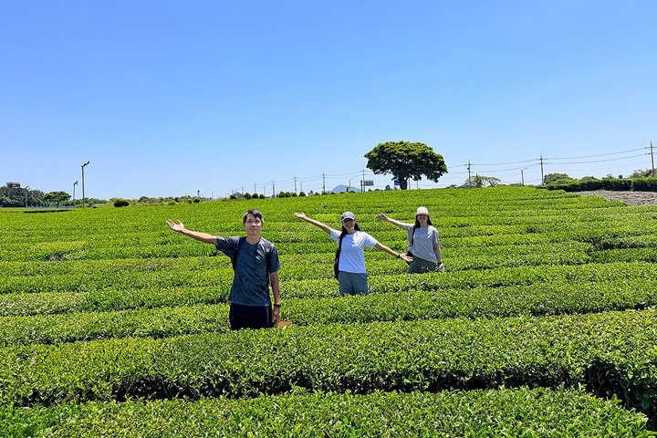 Jeju WestSouth One Day Authentic Tour with MT.Halla & UNESCO