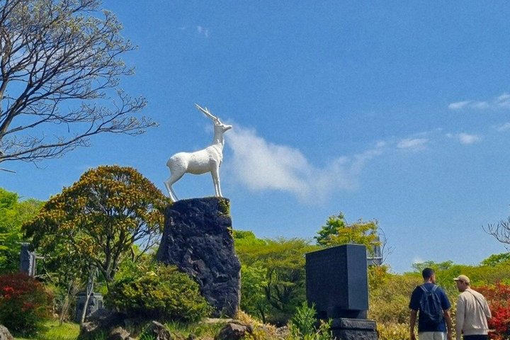 Jeju WestSouth One Day Authentic Tour with MT.Halla & UNESCO