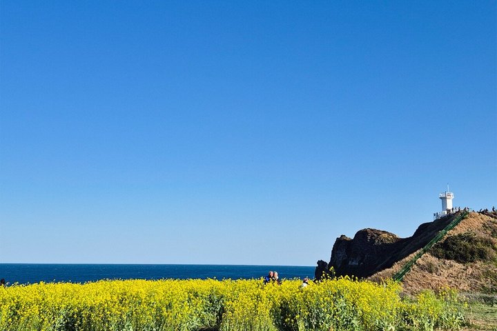 Guaranteed Return - Jeju Authentic Shore Excursion Cruise