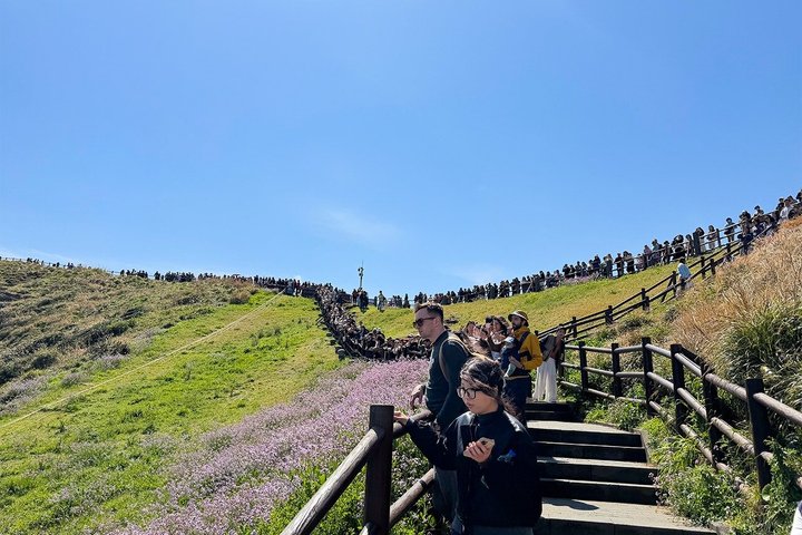 Guaranteed Return - Jeju Authentic Shore Excursion Cruise