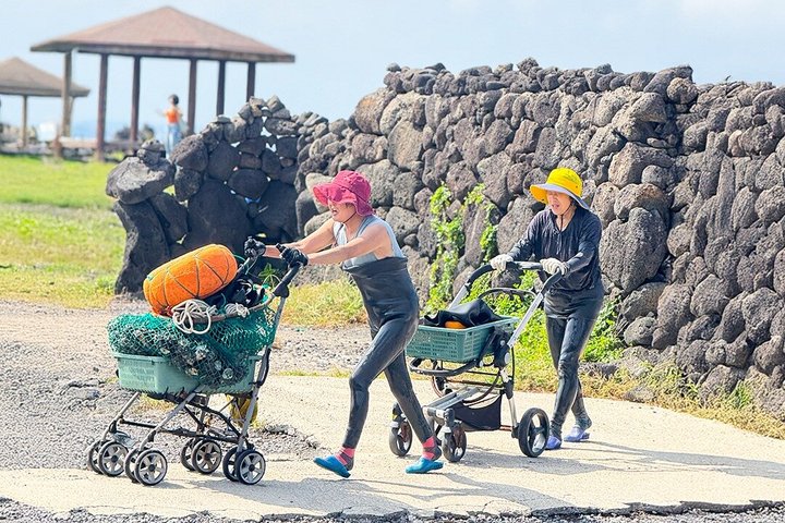 Jeju Island Eastern UNESCO site Full Day Guided Tour