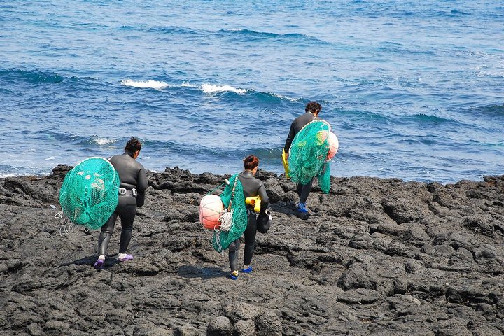 Jeju Island Eastern UNESCO site Full Day Guided Tour