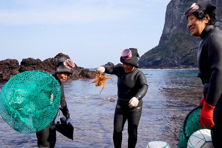 Jeju Island Eastern UNESCO site Full Day Guided Tour