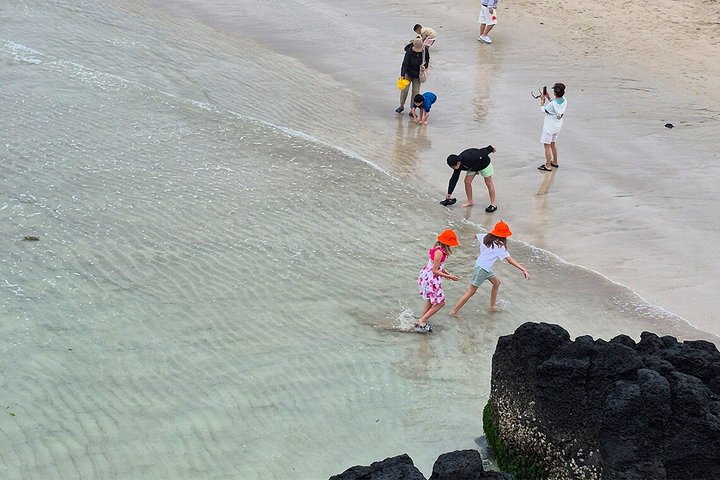 Jeju Island Eastern UNESCO site Full Day Guided Tour
