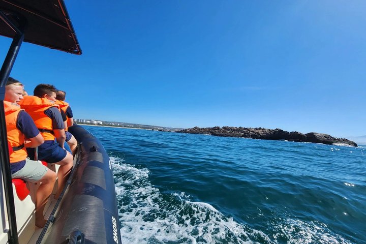 Seal Island Mossel Bay Tour