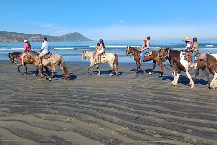 Private Shore Excursion: Beach or Canyon Horseback + Bufadora opt