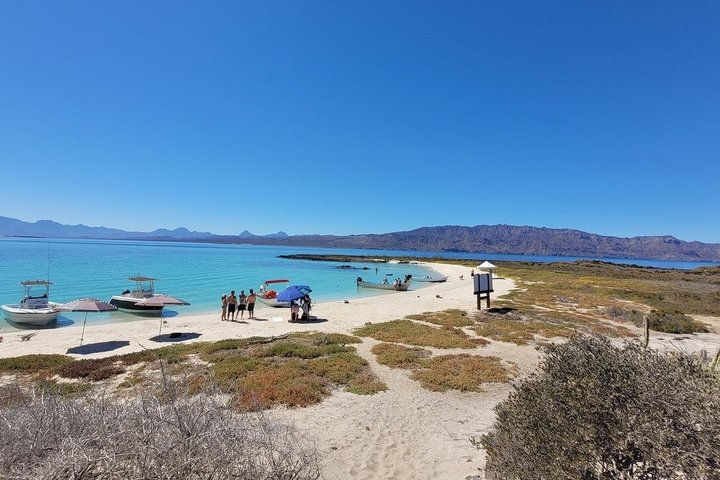Private Escape to Coronado Island from Loreto