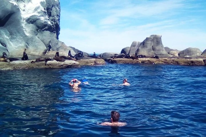 Private Escape to Coronado Island from Loreto