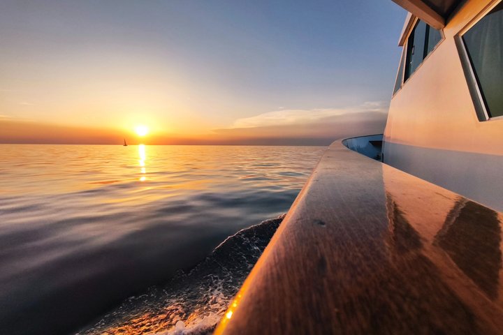 Sunset Cruise with Dolphin Spotting from Umag with Welcome Drink