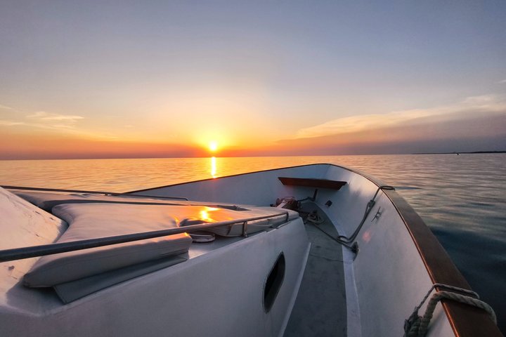 Sunset Cruise with Dolphin Spotting from Umag with Welcome Drink