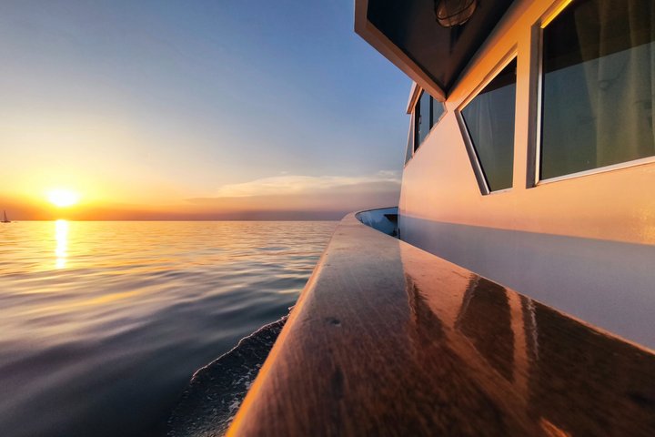 Sunset Cruise with Dolphin Spotting from Umag with Welcome Drink
