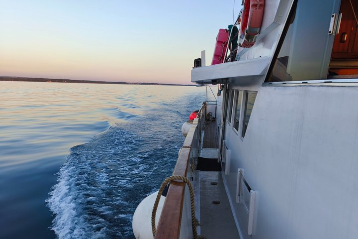 Sunset Cruise with Dolphin Spotting from Umag with Welcome Drink