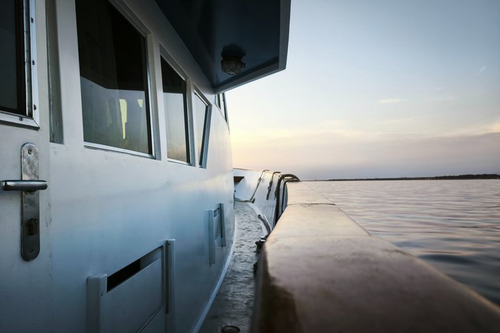 Sunset Cruise with Dolphin Spotting from Umag with Welcome Drink