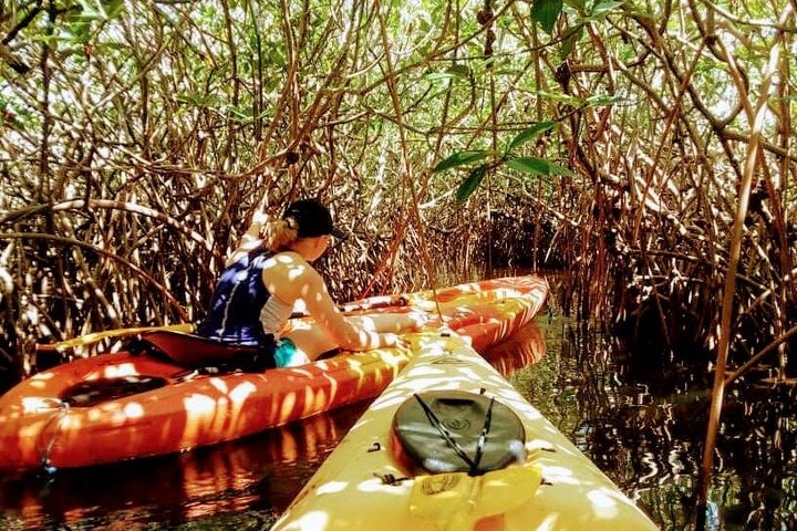 Kalipuna Island Kayak Rental and Nature Experience in Hopkins