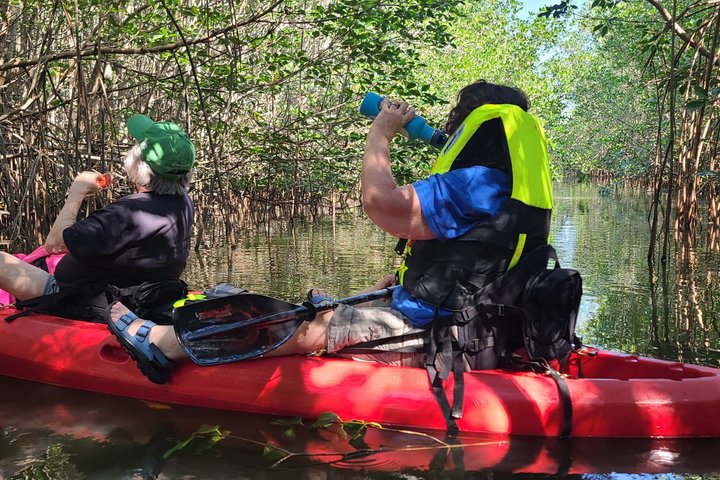 Kalipuna Island Kayak Rental and Nature Experience in Hopkins