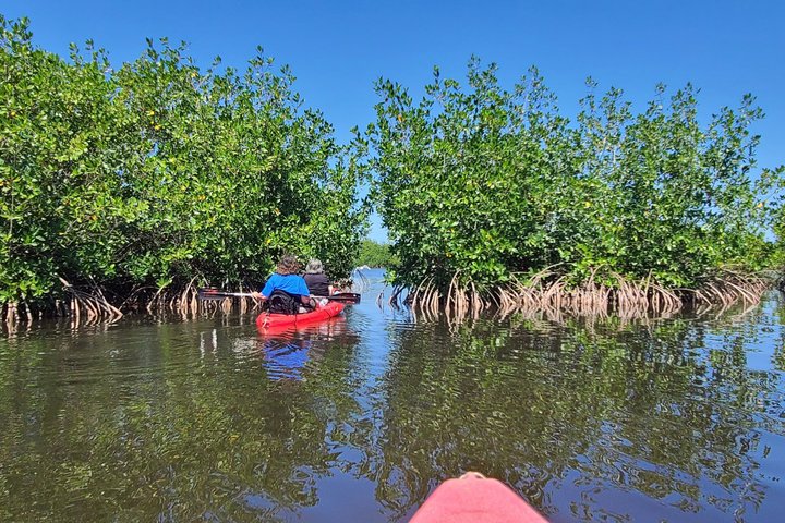 Kalipuna Island Kayak Rental and Nature Experience in Hopkins