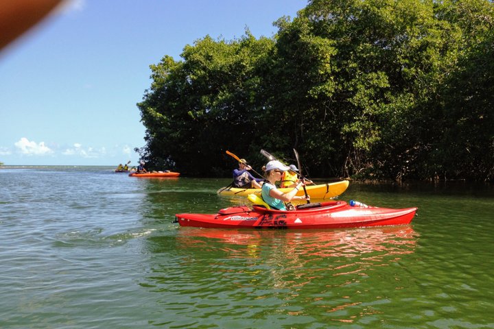 Kalipuna Island Kayak Rental and Nature Experience in Hopkins