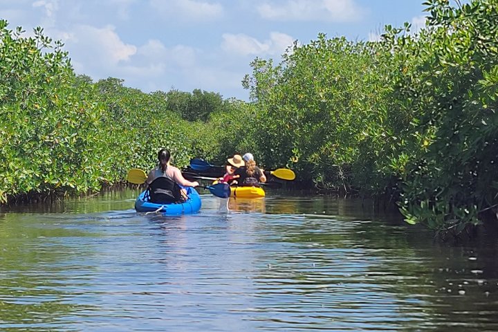 Kalipuna Island Kayak Rental and Nature Experience in Hopkins