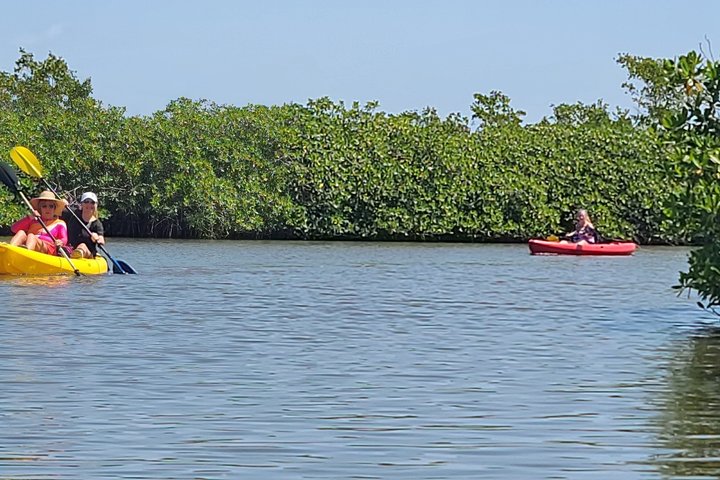 Kalipuna Island Kayak Rental and Nature Experience in Hopkins