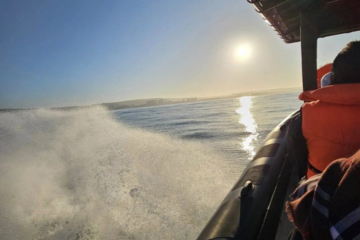 A Jet Boat Experience in Mossel Bay