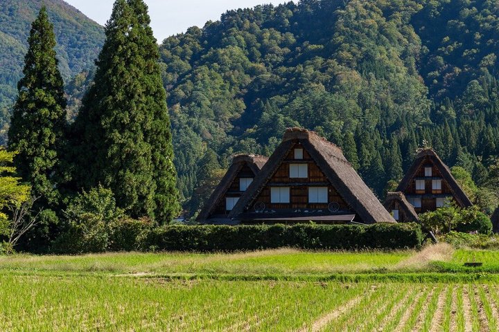 Shirakawago & Kanazawa from Kyoto by bullet train