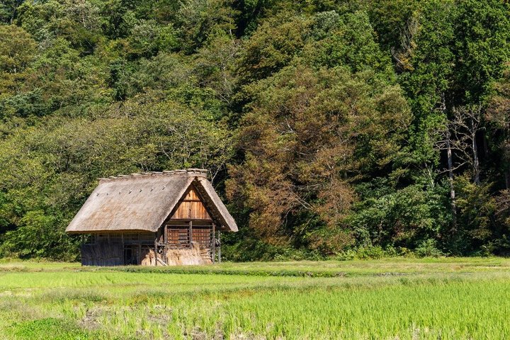 Shirakawago & Kanazawa from Kyoto by bullet train