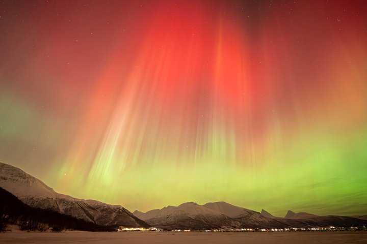 Northern Lights Tour with Local Guide and Photos