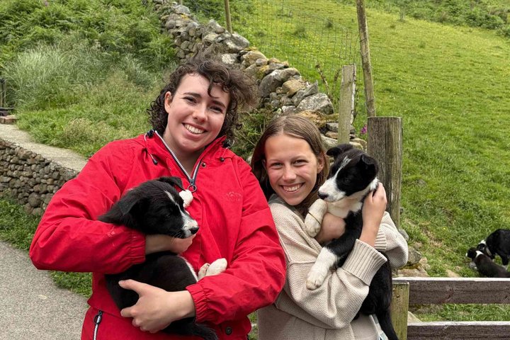 Small Group Kylemore Abbey, Sheepdog Demo & Connemara Tour
