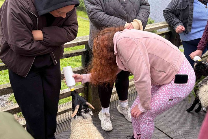 Small Group Kylemore Abbey, Sheepdog Demo & Connemara Tour