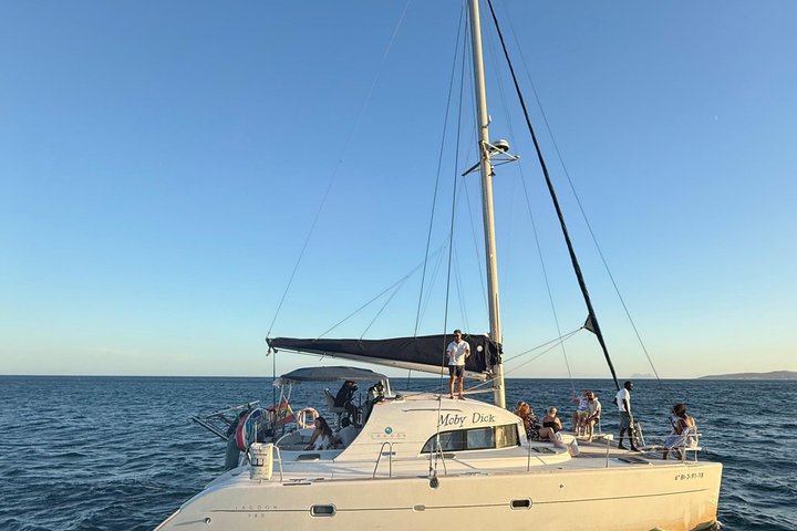 Dolphin trips on a catamaran