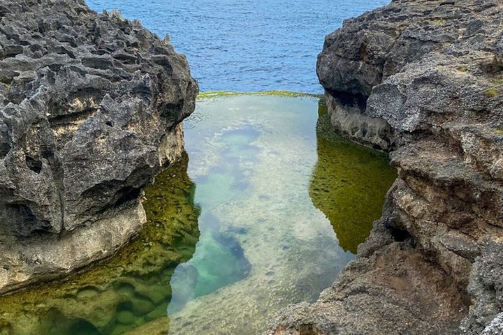 One Day Nusa Penida Island West & East