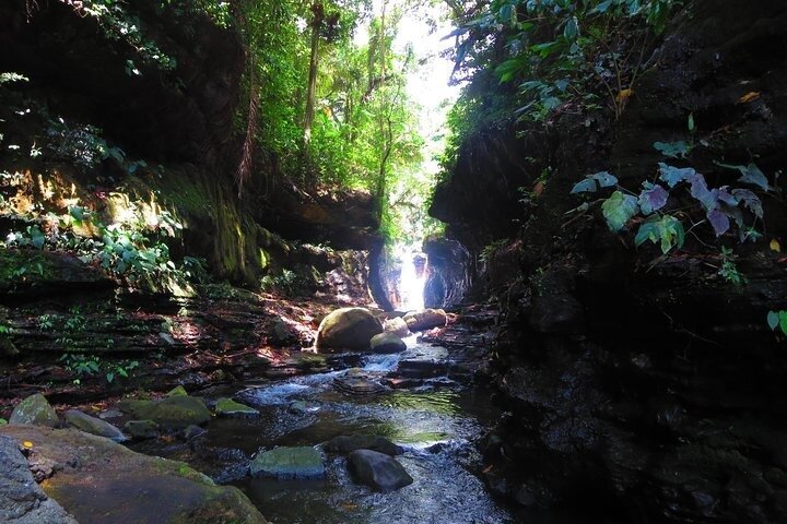 Manila Hidden Valley Springs Day Tour with Lunch