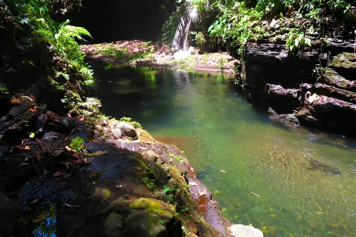 Manila Hidden Valley Springs Day Tour with Lunch