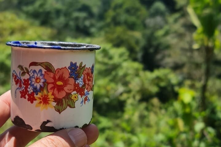 Tour coffee cultural landscape